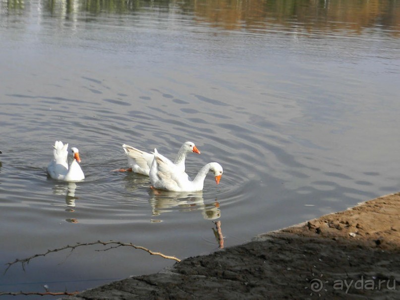 Просто суббота