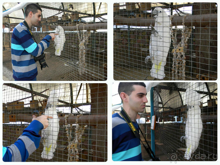 Просто суббота