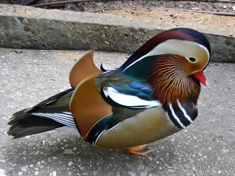 Просто суббота