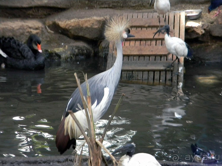 Просто суббота