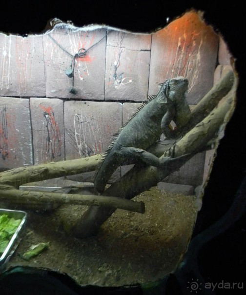 Просто суббота