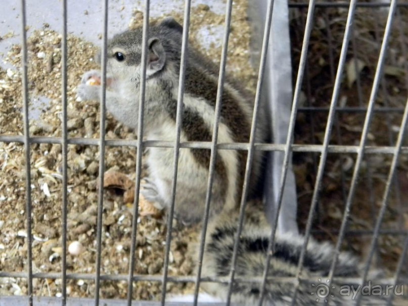 Просто суббота