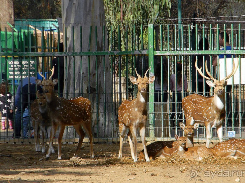 Просто суббота