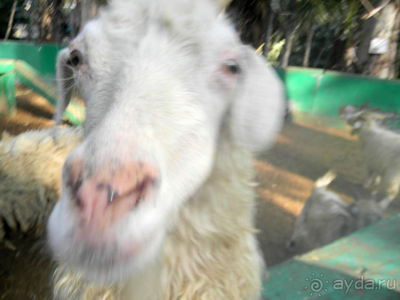 Просто суббота