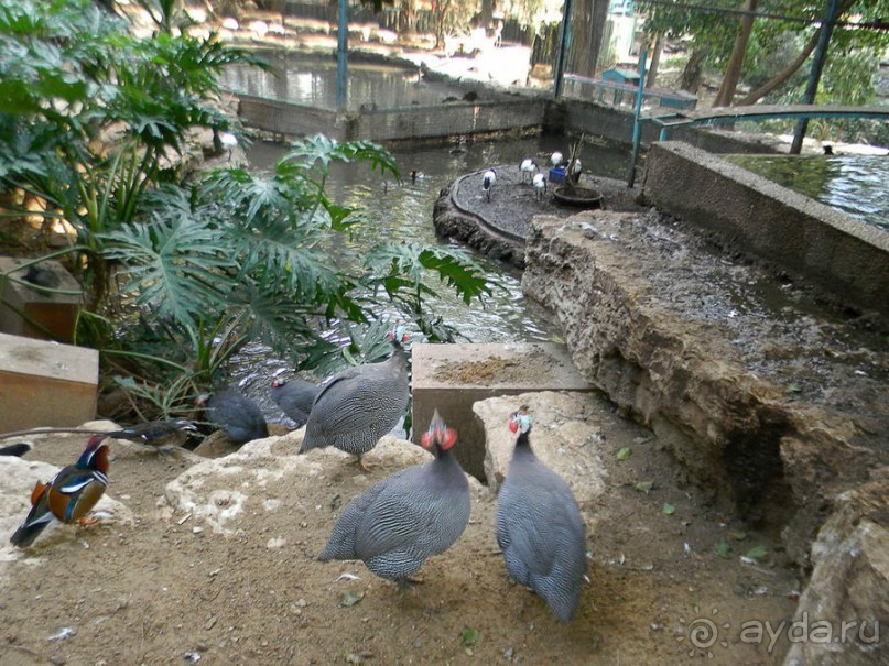 Просто суббота