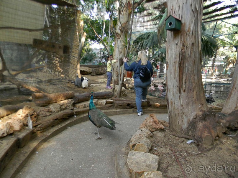 Просто суббота