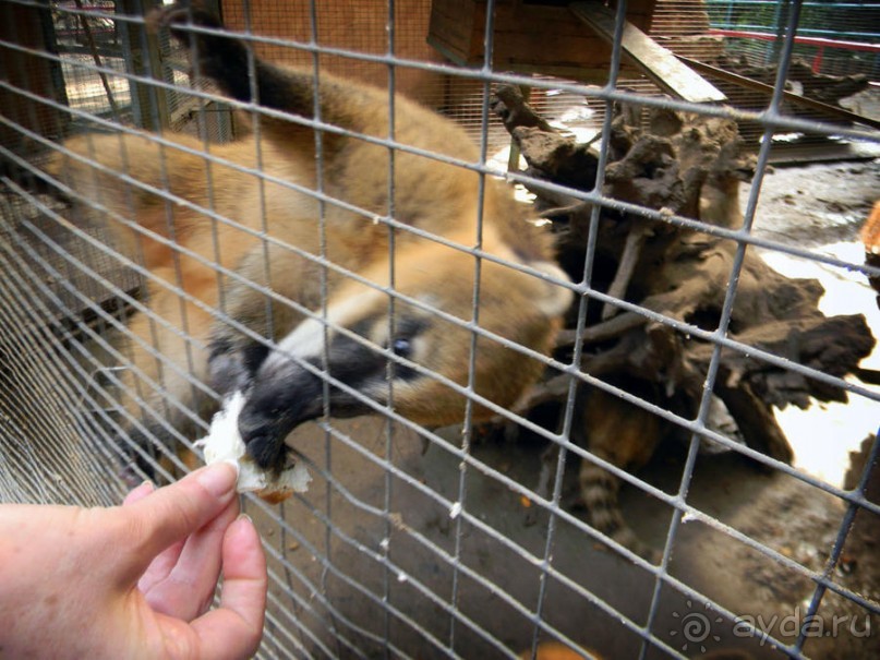 Просто суббота