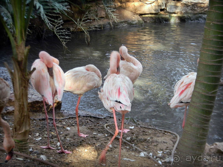 Просто суббота