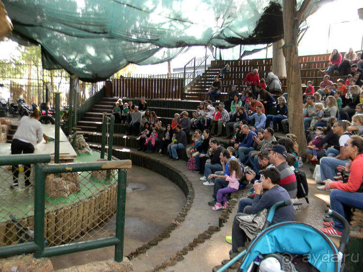 Просто суббота