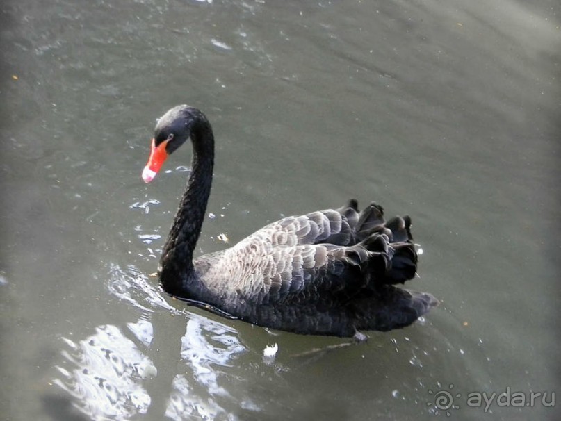 Просто суббота