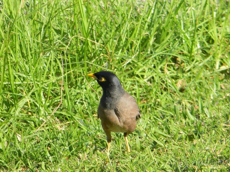 Просто суббота