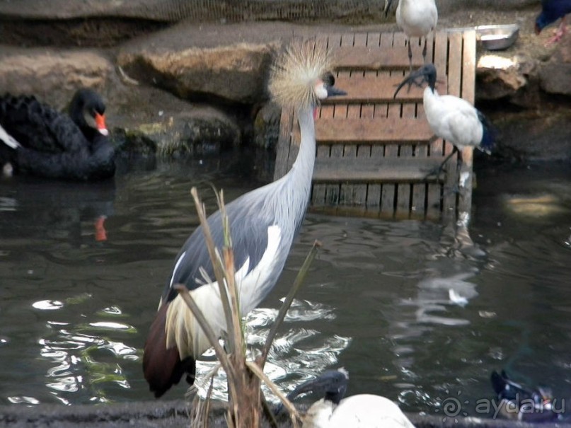 Просто суббота