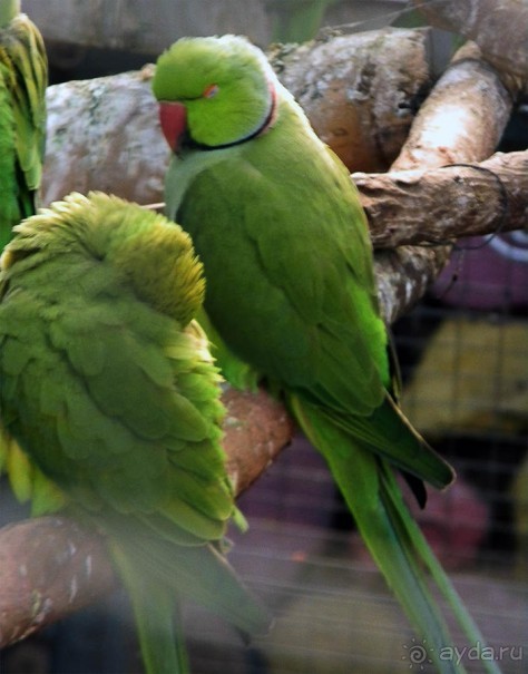 Просто суббота