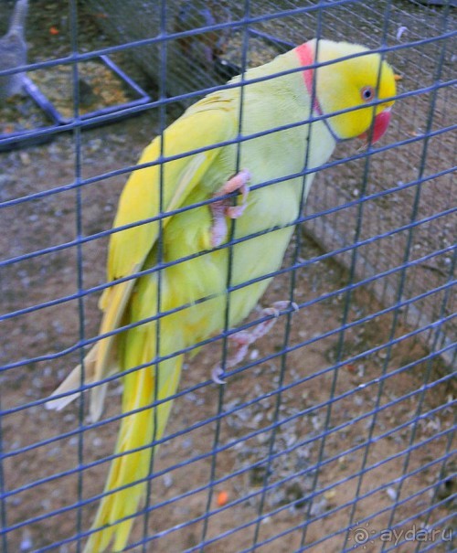 Просто суббота