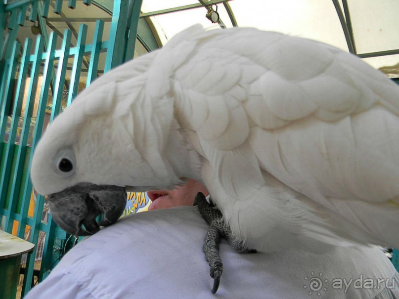 Просто суббота