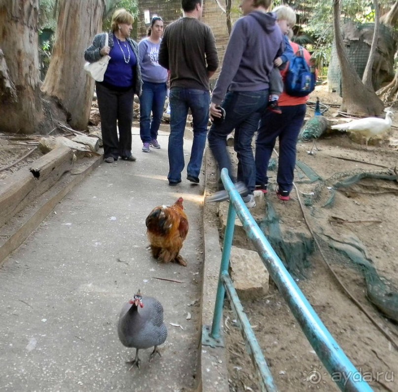 Просто суббота