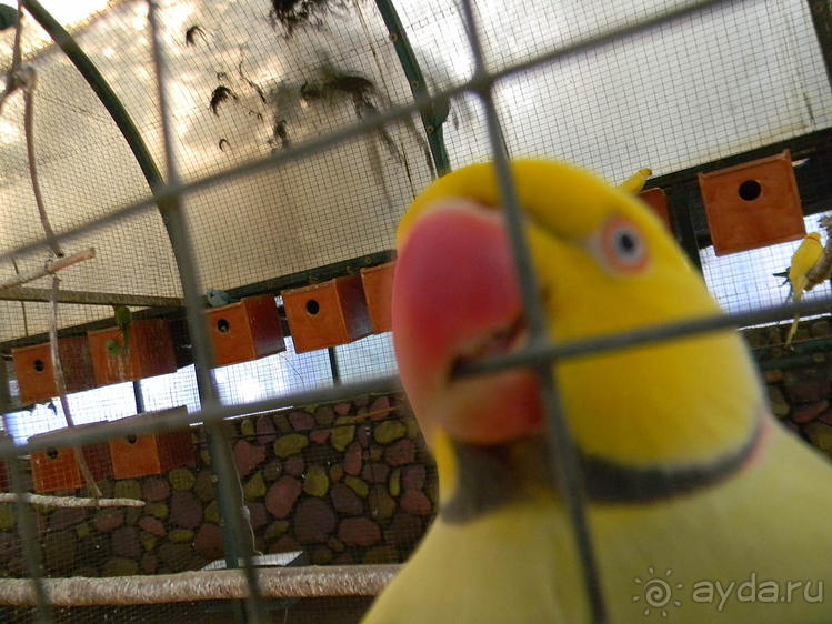 Просто суббота