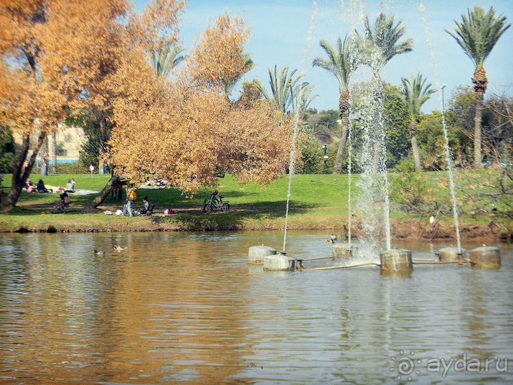 Просто суббота