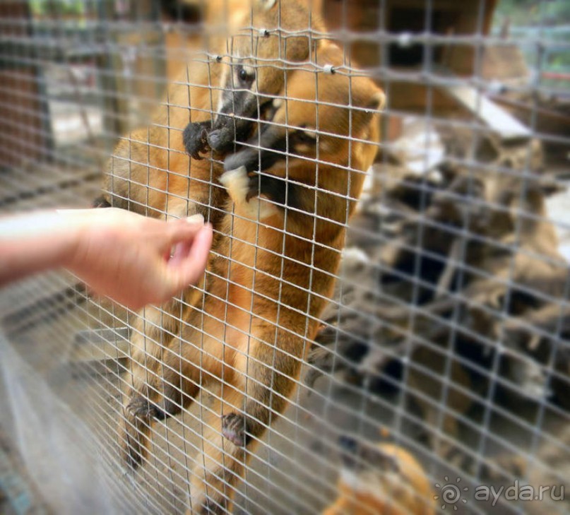 Просто суббота