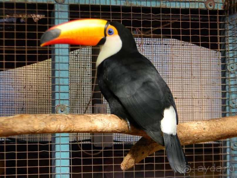 Просто суббота