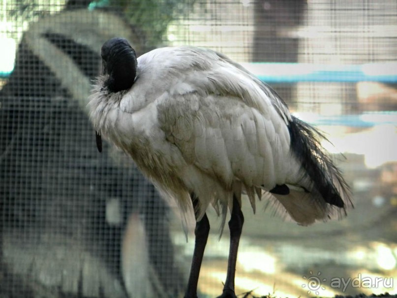 Просто суббота