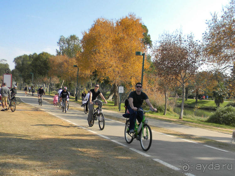 Просто суббота