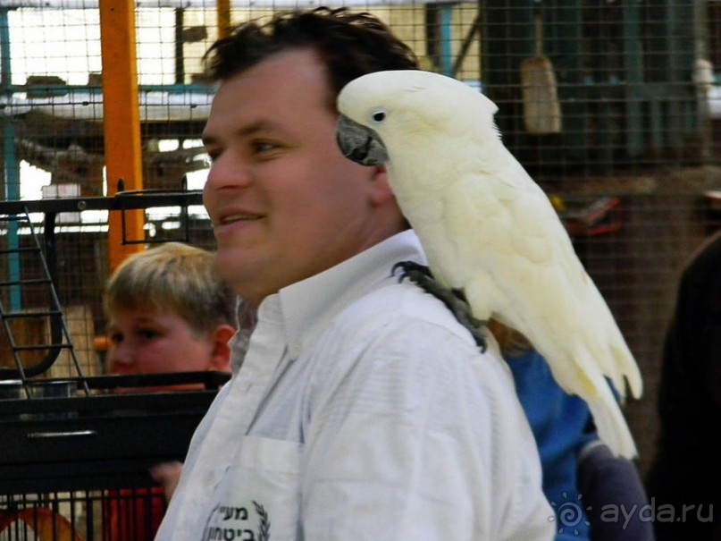 Просто суббота