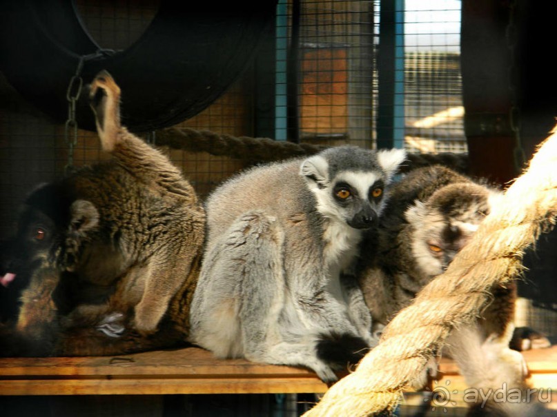 Просто суббота