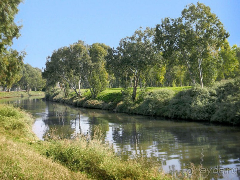 Просто суббота