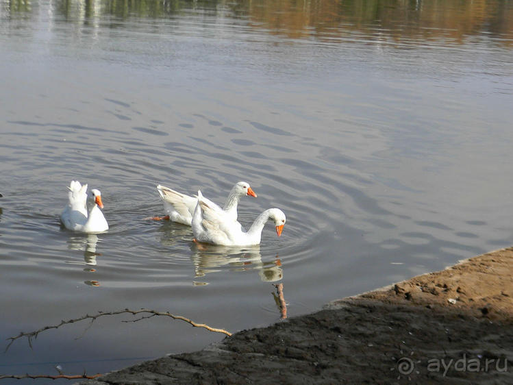 Просто суббота