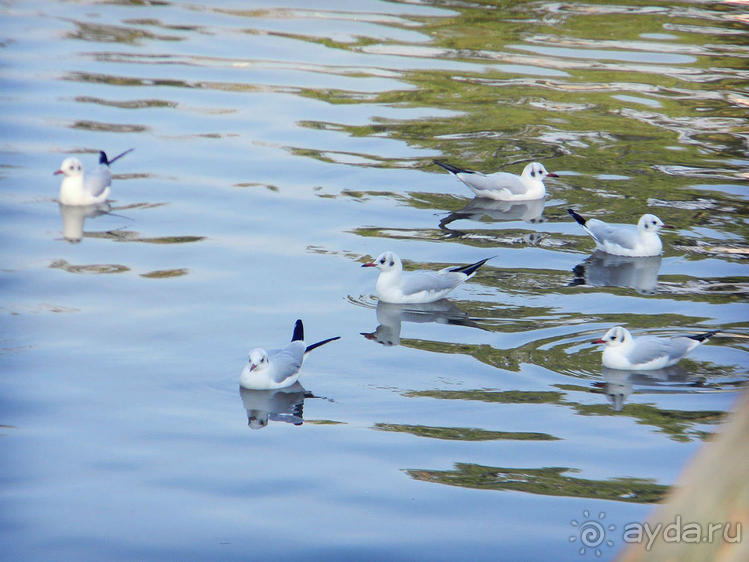 Просто суббота