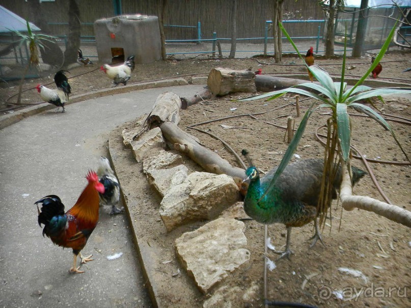 Просто суббота