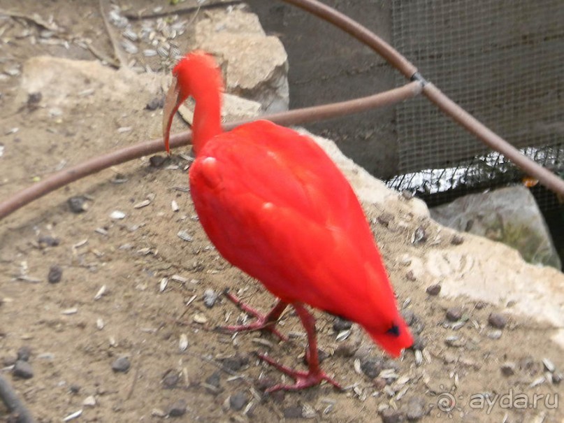 Просто суббота