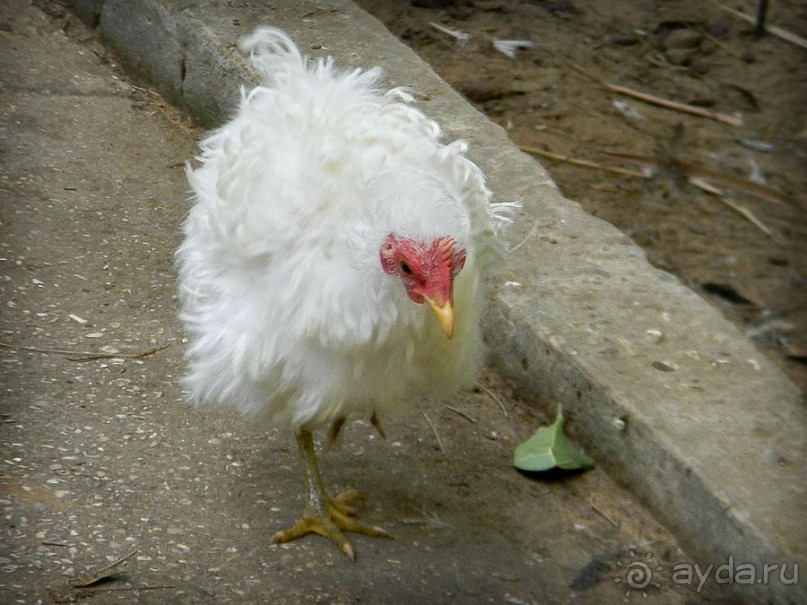 Просто суббота