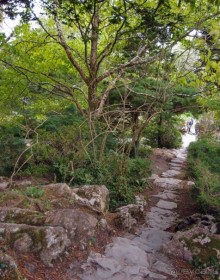 Макросс и Виктория