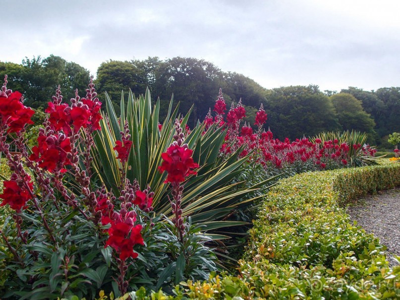 Макросс и Виктория