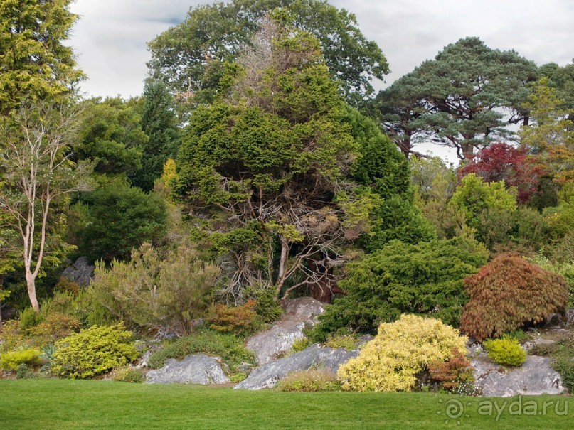 Макросс и Виктория