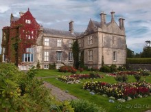 Макросс и Виктория