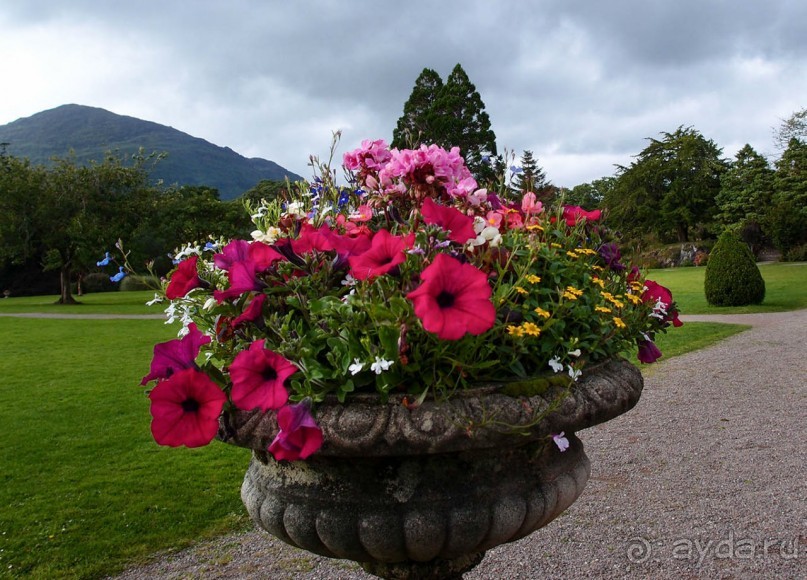 Макросс и Виктория