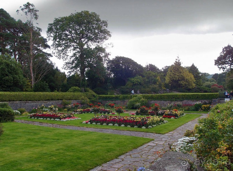 Макросс и Виктория