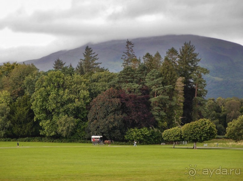 Макросс и Виктория