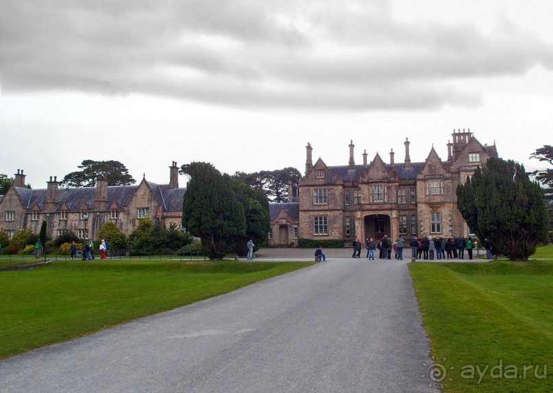 Макросс и Виктория