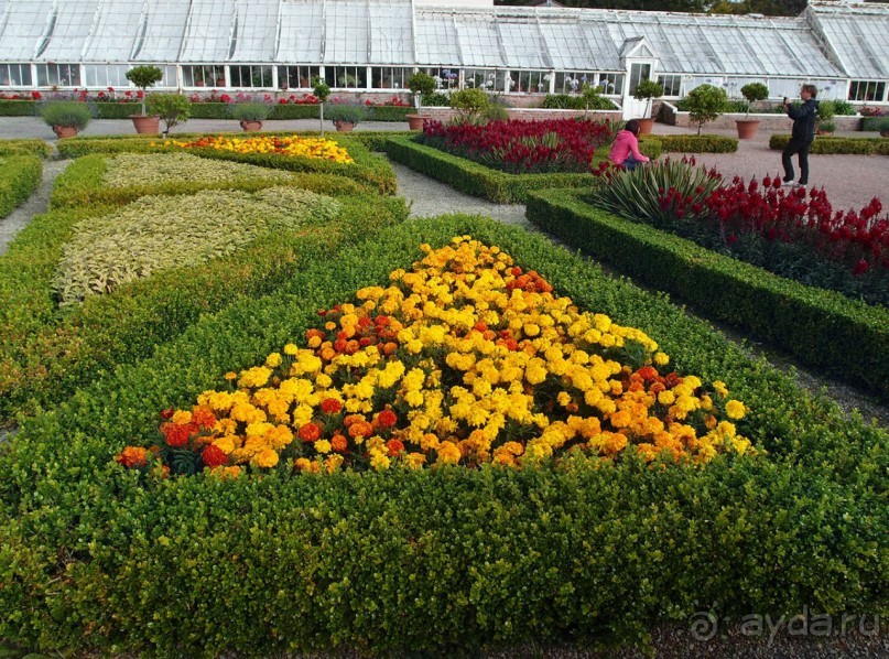 Макросс и Виктория