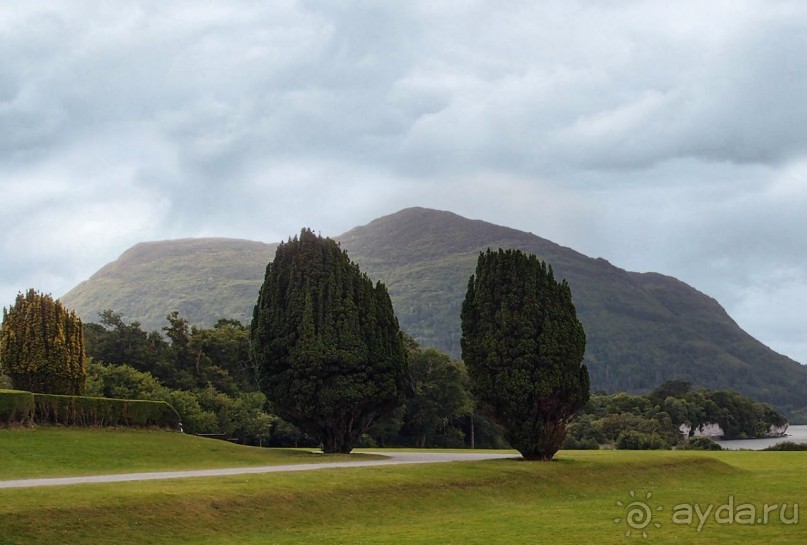 Макросс и Виктория