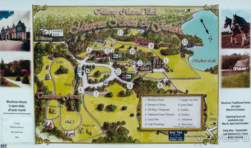 Макросс и Виктория