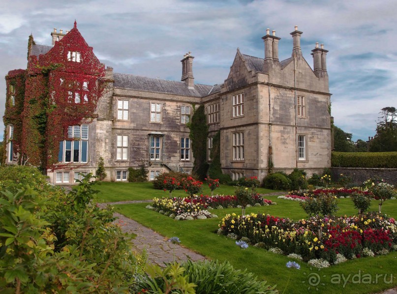 Макросс и Виктория