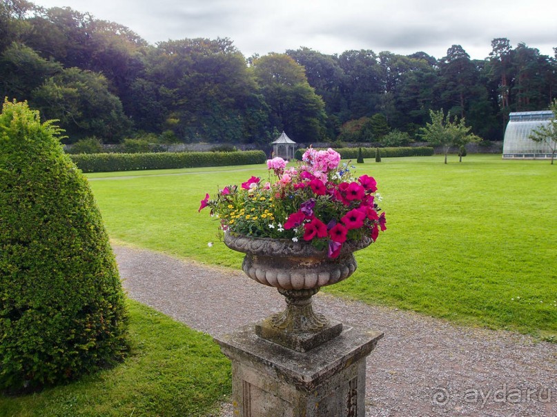 Макросс и Виктория