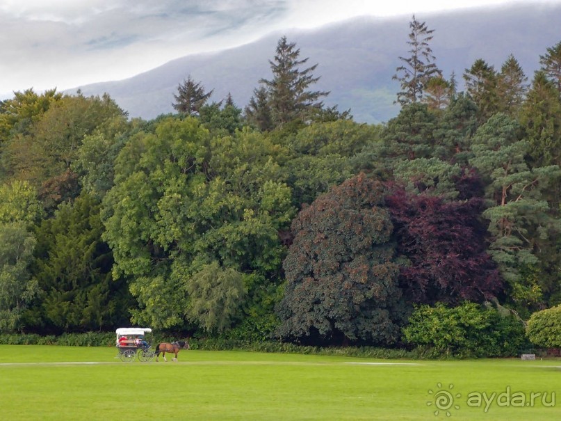 Макросс и Виктория