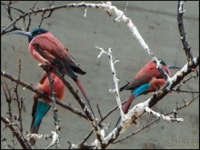 Всё, как у людей