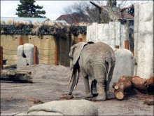Всё, как у людей